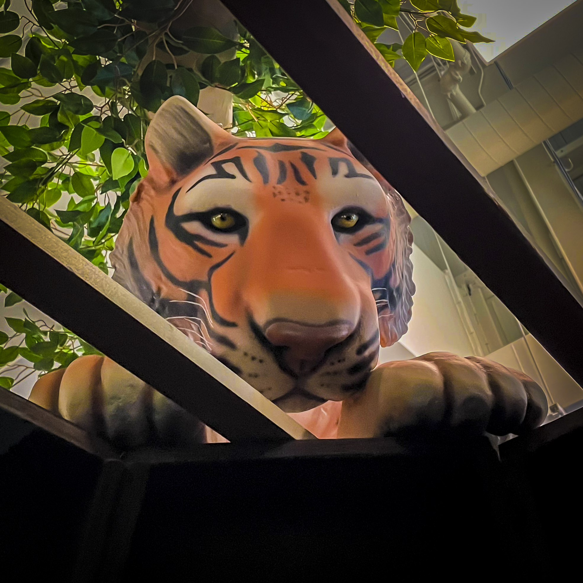 9-Mar-24-2025-02-21-55-9959-PM