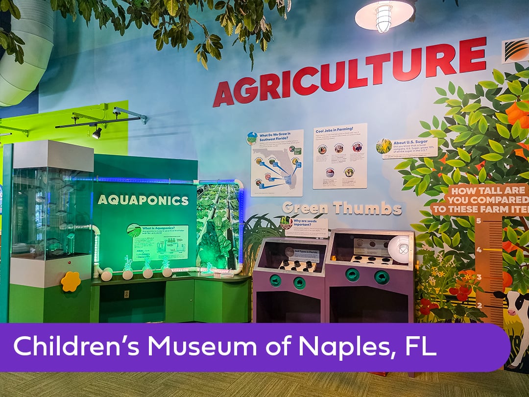 Childrens Museum of Naples_gallery