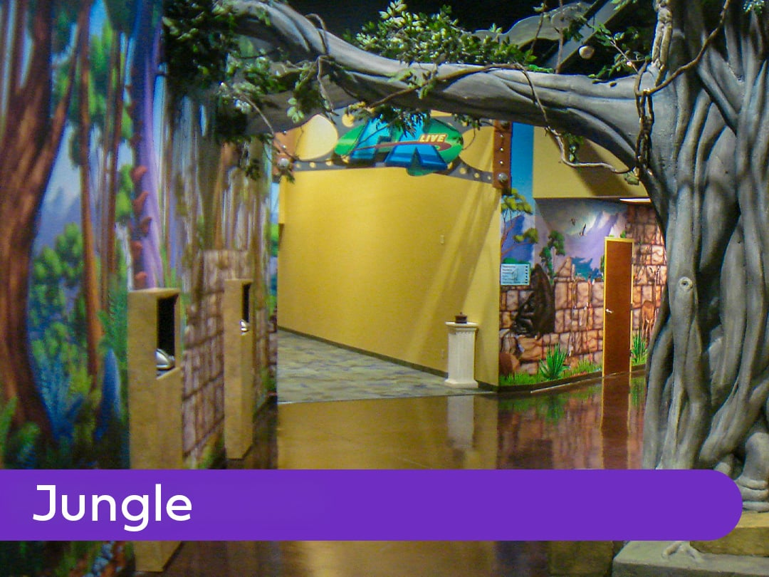 Jungle_gallery