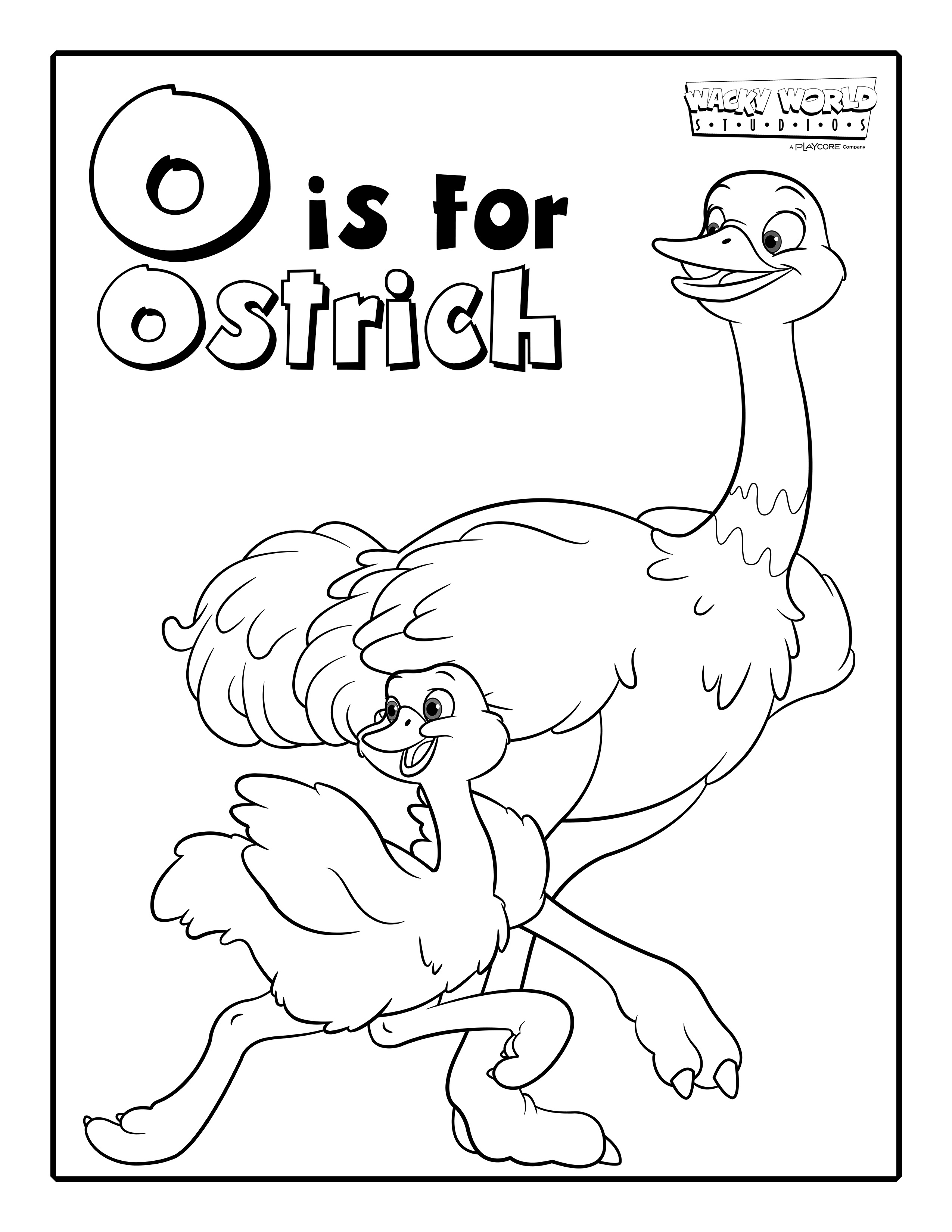 O is for Ostrich
