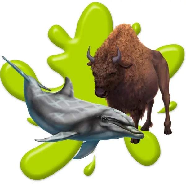 Realistic Animals
