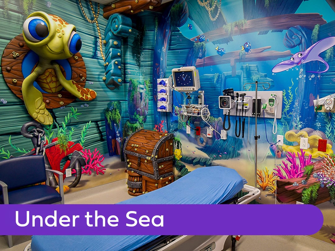 Under the Sea_gallery