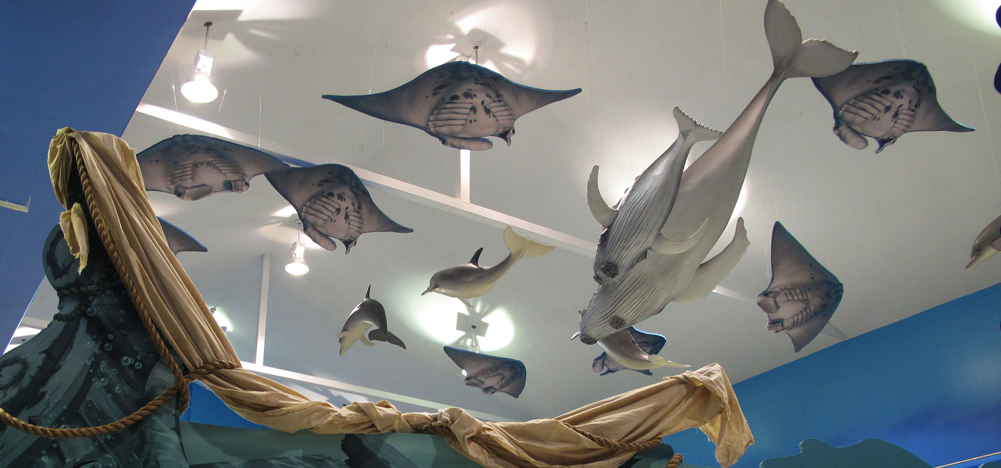 Stingrays and Whale Sound Panels hanging high above the floor at Grace Church