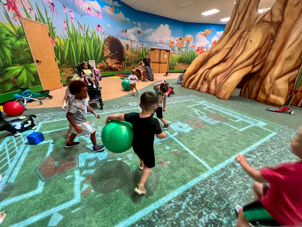 Wheelchair-accessible nature play, Special Care Inc.