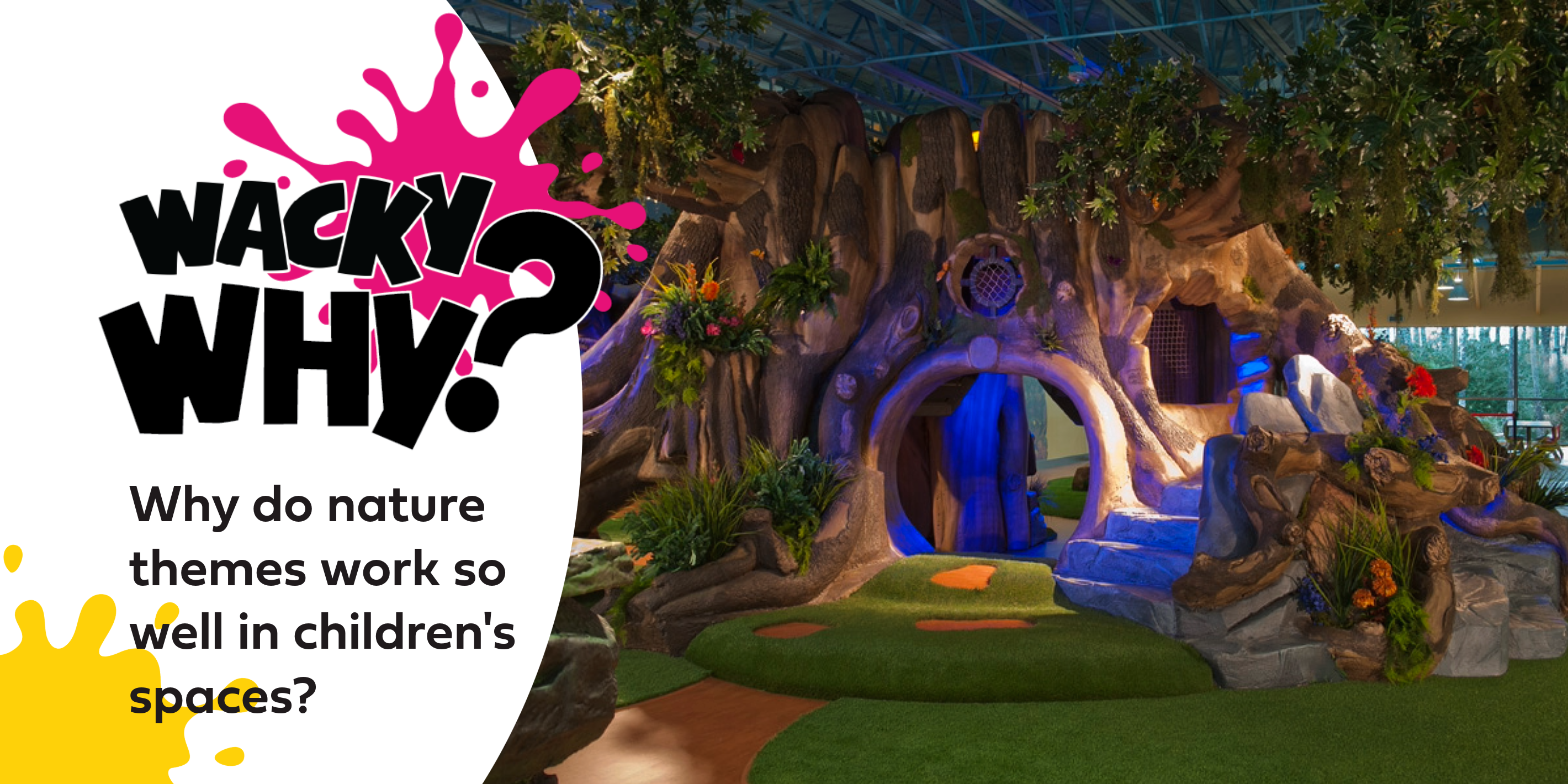 Wacky Why #7: Why Do Nature Themes Work So Well in Children's Spaces?