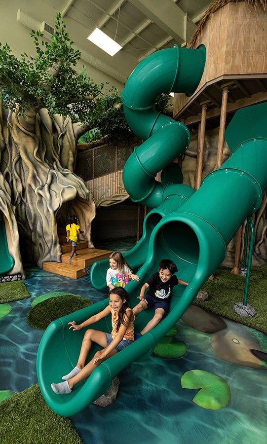 Kids sliding down slide feature at West Chicago Parks District ARC Center