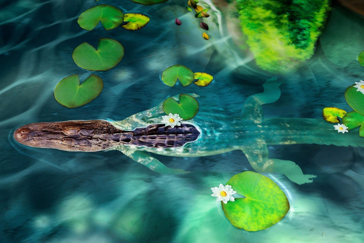 Floor Graphic river feature with lily-pads and alligator at West Chicago Parks District ARC Center