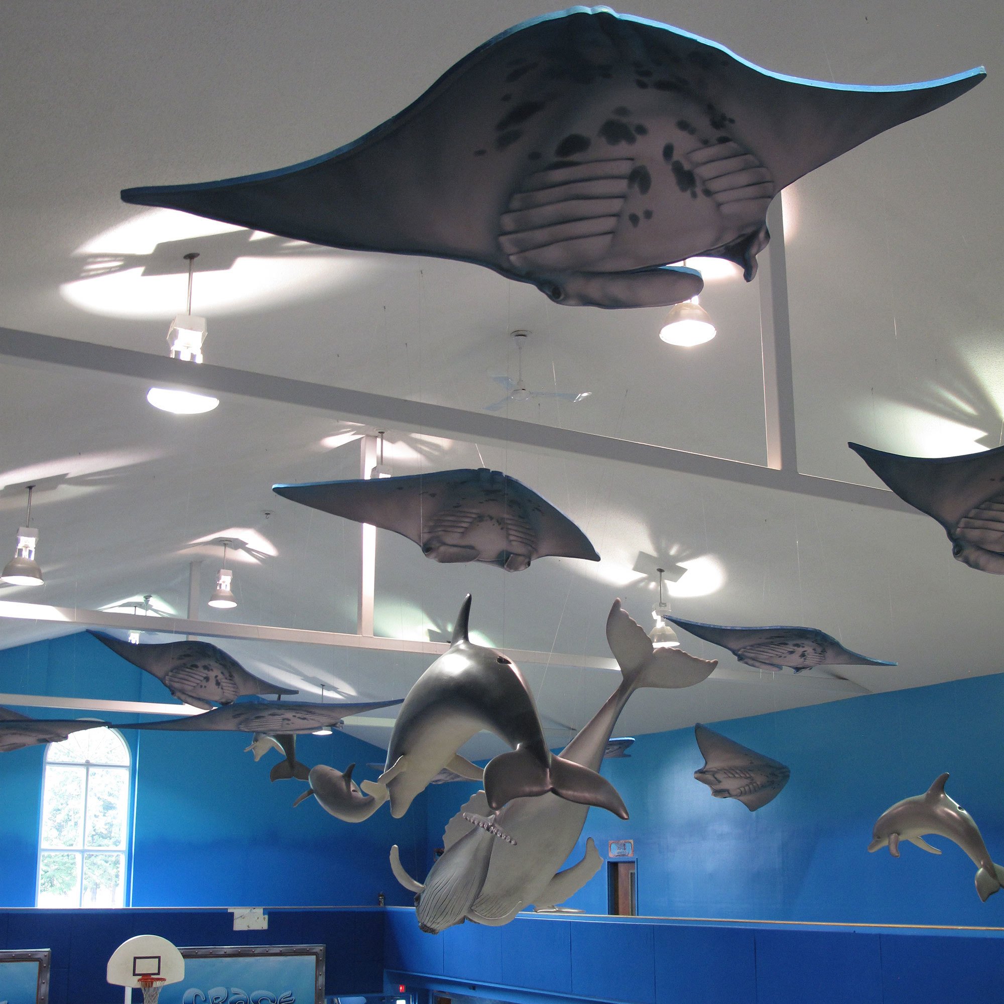 Stingray Themed Sound Panels hanging from a ceiling